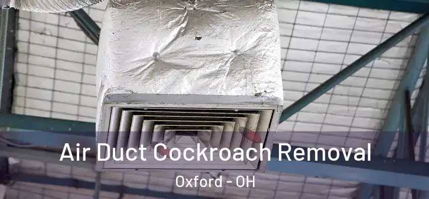 Air Duct Cockroach Removal Oxford - OH