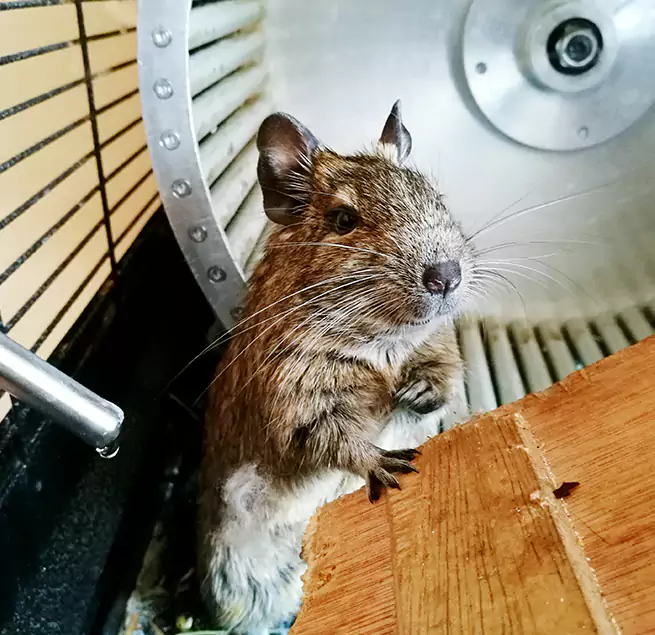 Why Homeowners & Businesses Trust Us Oxford, OH